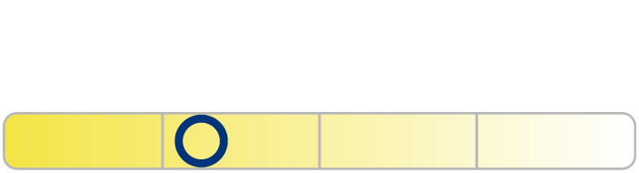 RacingVision GT200 فترة الاستهلاك