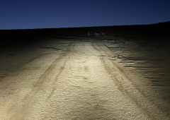 Ultinon access comparison