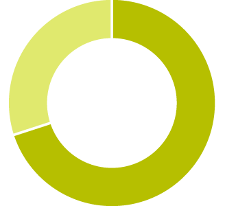 Pie chart - 74%