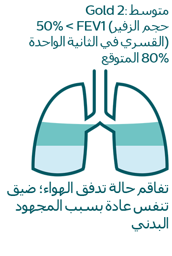 تفاقم حالة تدفق الهواء؛ ضيق تنفس عادة بسبب المجهود البدني